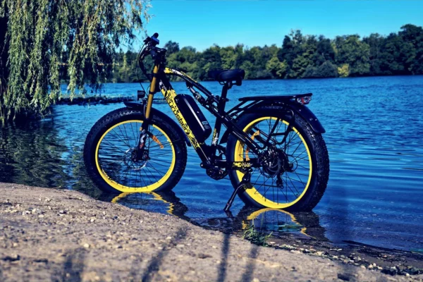 Cyrusher XF900 Vélo électrique puissant | 750W 17Ah – Image 6