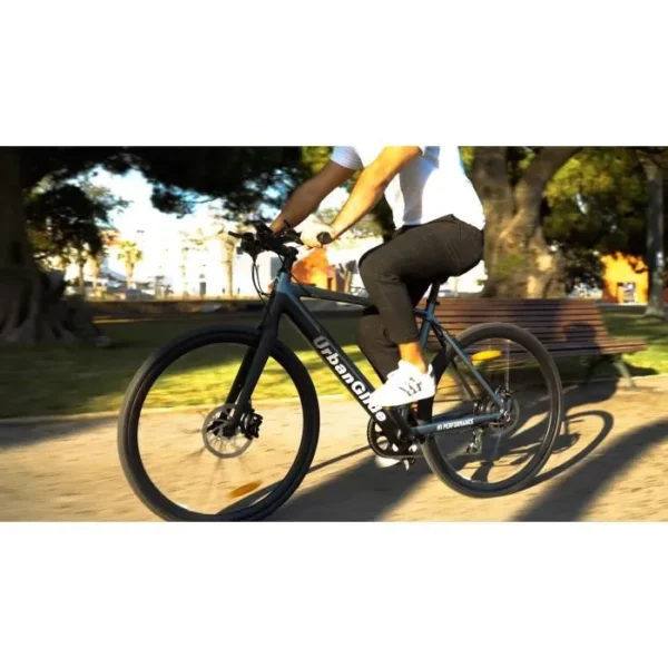 Vélo électrique URBANGLIDE eBike M1 10AH Gris - – Image 4
